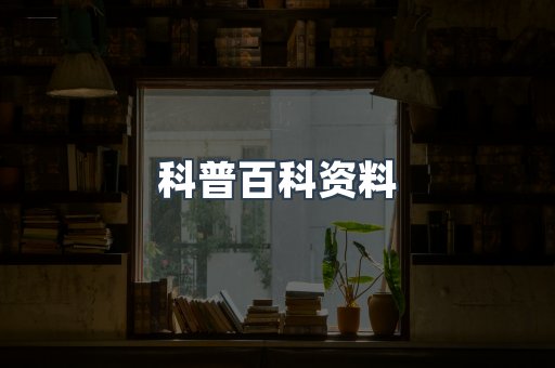 外文电子书系列